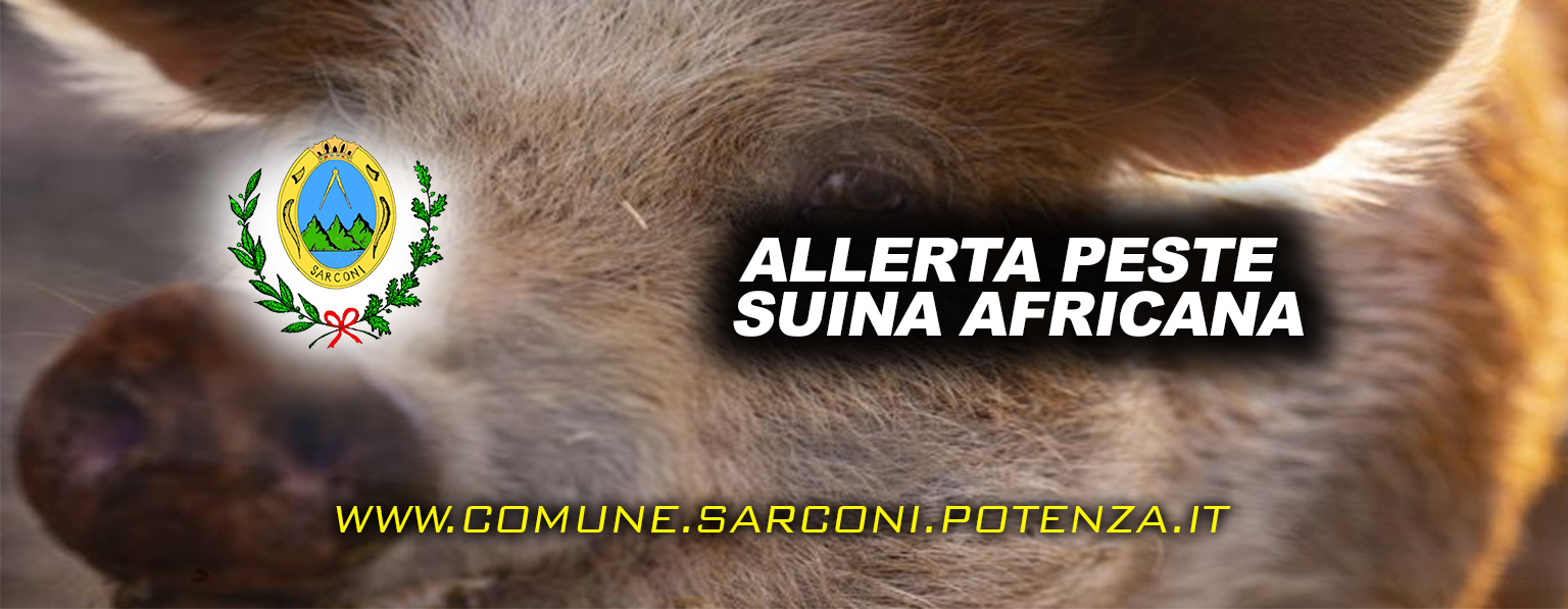 immagine articolo